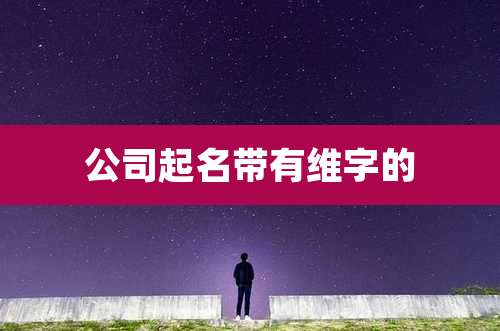 公司起名带有维字的