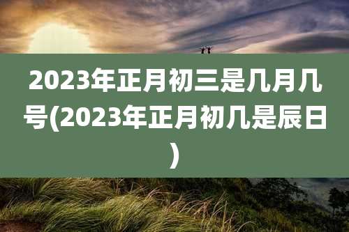 2023年正月初三是几月几号(2023年正月初几是辰日)