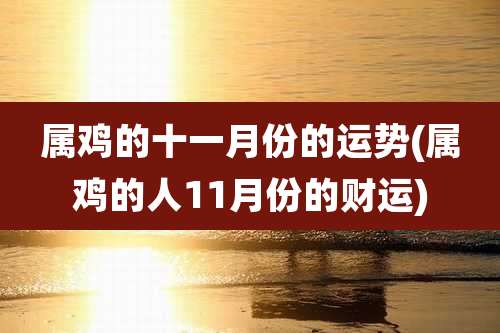 属鸡的十一月份的运势(属鸡的人11月份的财运)