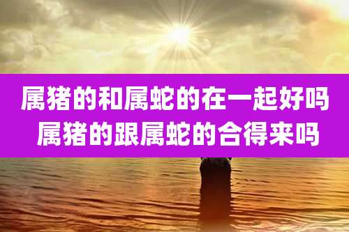 属猪的和属蛇的在一起好吗 属猪的跟属蛇的合得来吗