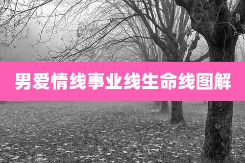 男爱情线事业线生命线图解