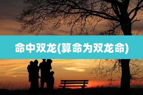 命中双龙(算命为双龙命)