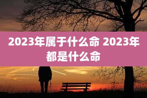 2023年属于什么命 2023年都是什么命
