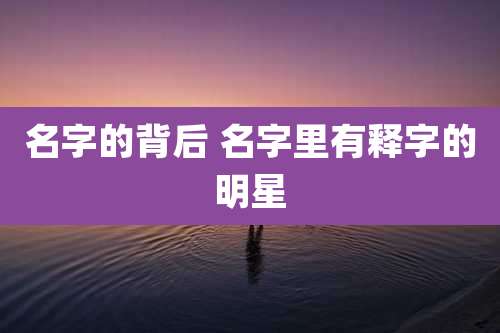 名字的背后 名字里有释字的明星