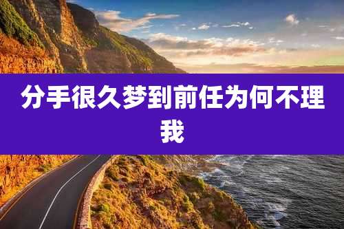 分手很久梦到前任为何不理我