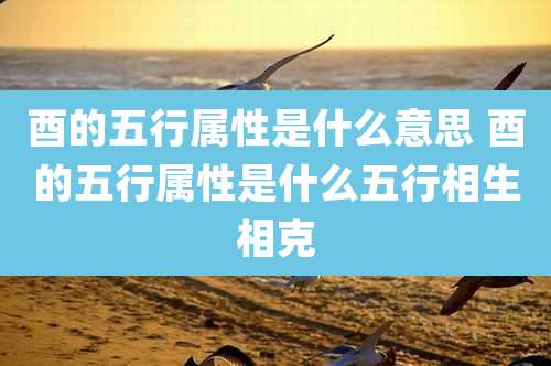 酉的五行属性是什么意思 酉的五行属性是什么五行相生相克