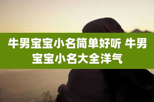 牛男宝宝小名简单好听 牛男宝宝小名大全洋气