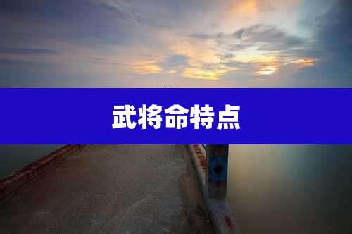武将命特点
