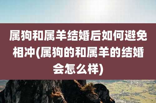 属狗和属羊结婚后如何避免相冲(属狗的和属羊的结婚会怎么样)