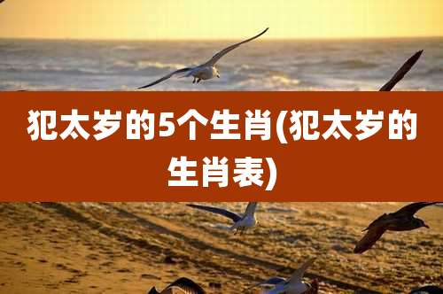 犯太岁的5个生肖(犯太岁的生肖表)