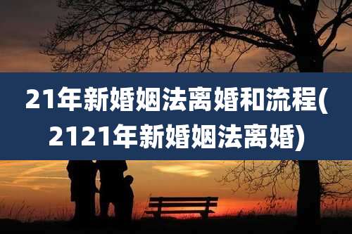 21年新婚姻法离婚和流程(2121年新婚姻法离婚)