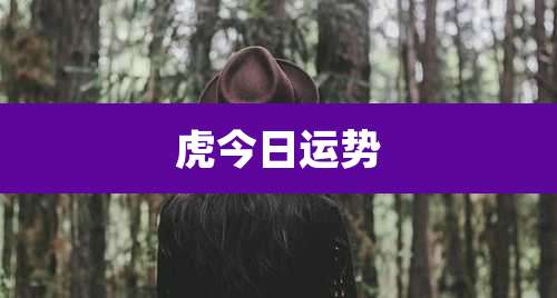 虎今日运势