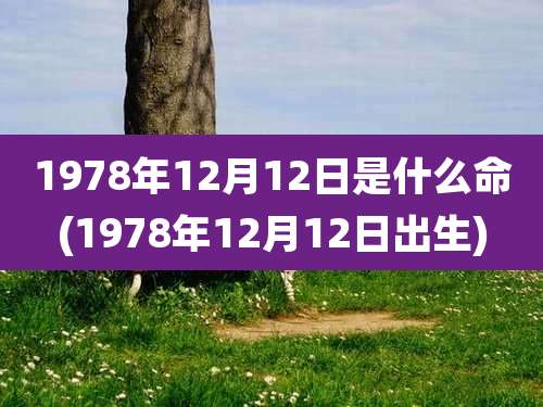 1978年12月12日是什么命(1978年12月12日出生)