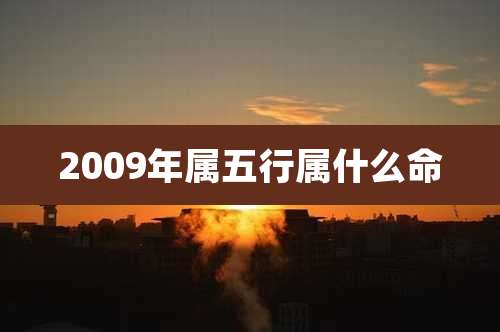 2009年属五行属什么命