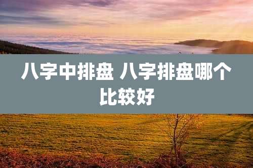 八字中排盘 八字排盘哪个比较好