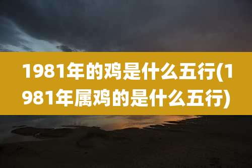 1981年的鸡是什么五行(1981年属鸡的是什么五行)