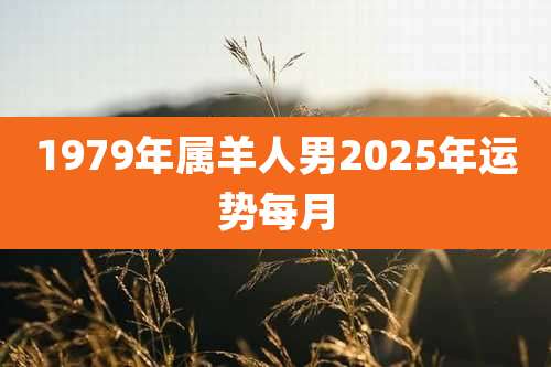 1979年属羊人男2025年运势每月