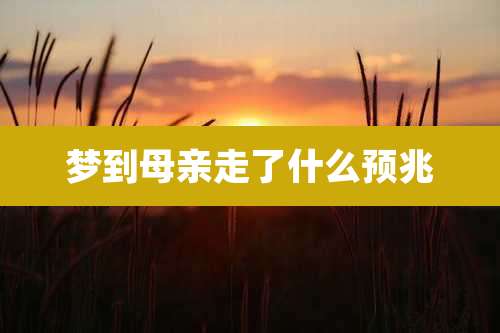 梦到母亲走了什么预兆