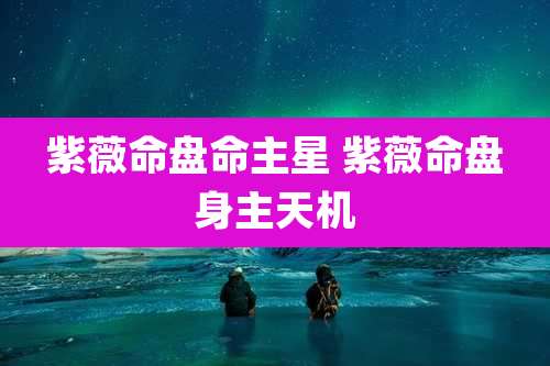 紫薇命盘命主星 紫薇命盘身主天机