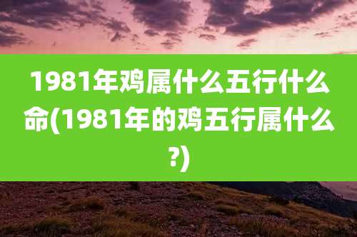 1981年鸡属什么五行什么命(1981年的鸡五行属什么?)