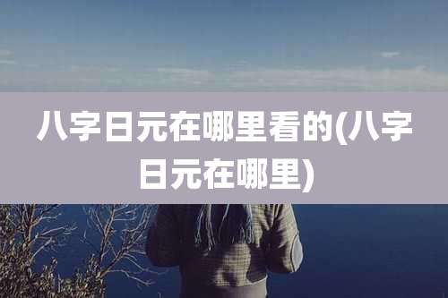 八字日元在哪里看的(八字日元在哪里)