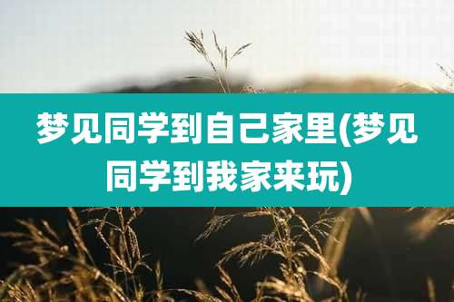 梦见同学到自己家里(梦见同学到我家来玩)