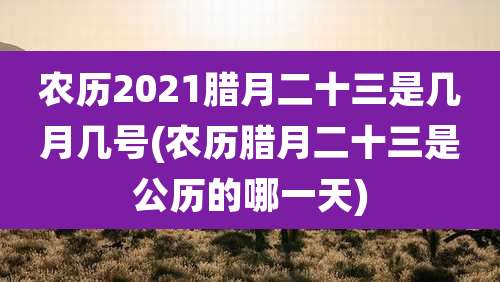 农历2021腊月二十三是几月几号(农历腊月二十三是公历的哪一天)