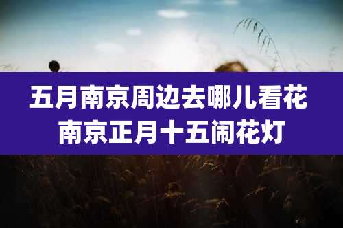 五月南京周边去哪儿看花 南京正月十五闹花灯