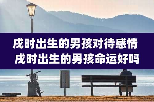 戌时出生的男孩对待感情 戌时出生的男孩命运好吗