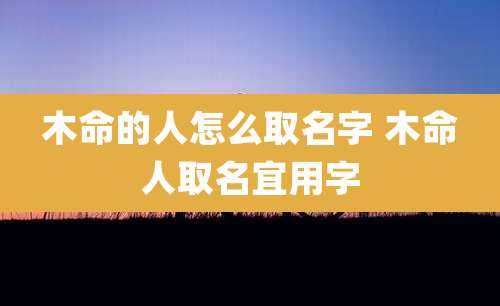 木命的人怎么取名字 木命人取名宜用字