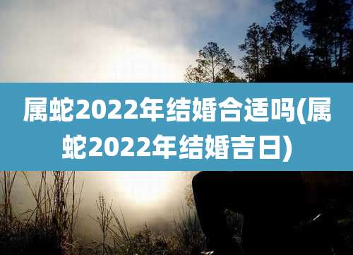 属蛇2022年结婚合适吗(属蛇2022年结婚吉日)