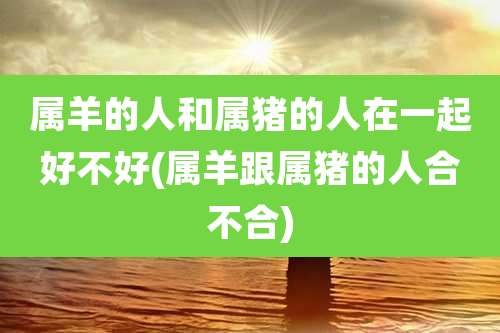 属羊的人和属猪的人在一起好不好(属羊跟属猪的人合不合)