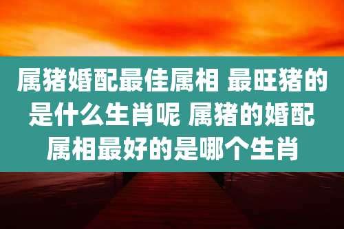 属猪婚配最佳属相 最旺猪的是什么生肖呢 属猪的婚配属相最好的是哪个生肖