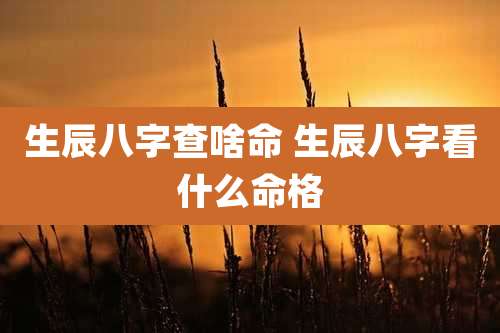 生辰八字查啥命 生辰八字看什么命格