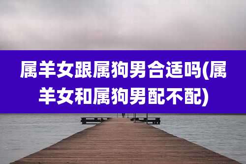 属羊女跟属狗男合适吗(属羊女和属狗男配不配)