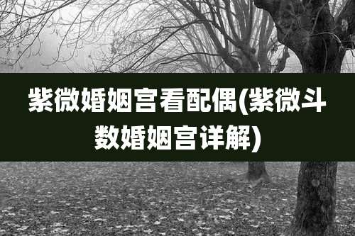 紫微婚姻宫看配偶(紫微斗数婚姻宫详解)