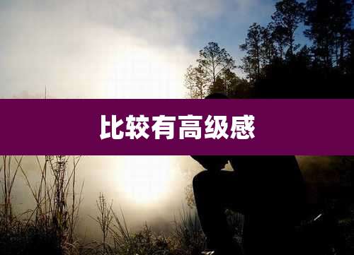 比较有高级感