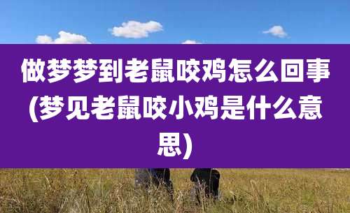 做梦梦到老鼠咬鸡怎么回事(梦见老鼠咬小鸡是什么意思)