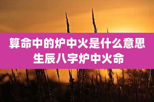 算命中的炉中火是什么意思 生辰八字炉中火命