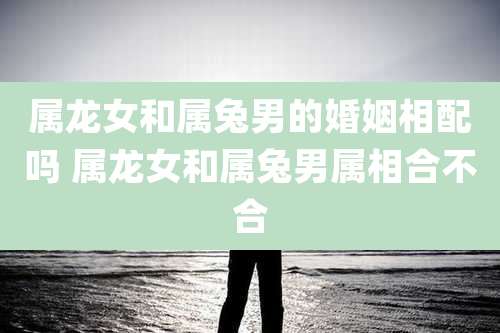 属龙女和属兔男的婚姻相配吗 属龙女和属兔男属相合不合