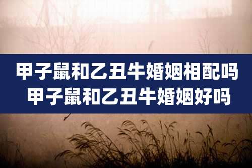 甲子鼠和乙丑牛婚姻相配吗 甲子鼠和乙丑牛婚姻好吗