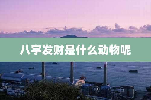 八字发财是什么动物呢