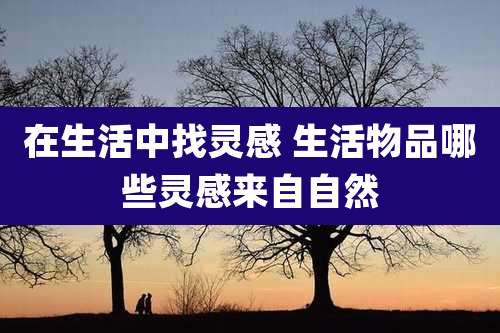 在生活中找灵感 生活物品哪些灵感来自自然