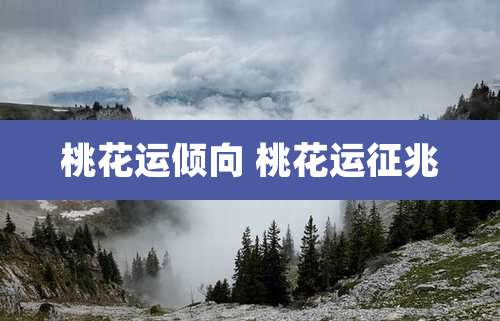 桃花运倾向 桃花运征兆