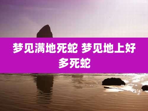 梦见满地死蛇 梦见地上好多死蛇