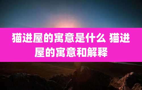 猫进屋的寓意是什么 猫进屋的寓意和解释