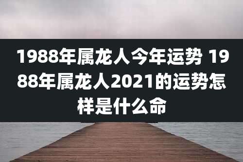 1988年属龙人今年运势 1988年属龙人2021的运势怎样是什么命
