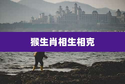 猴生肖相生相克