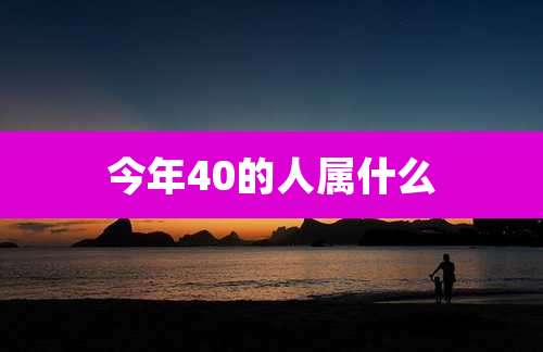 今年40的人属什么