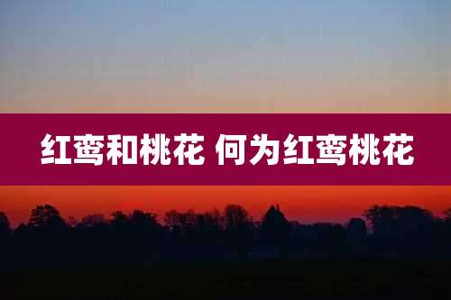 红鸾和桃花 何为红鸾桃花